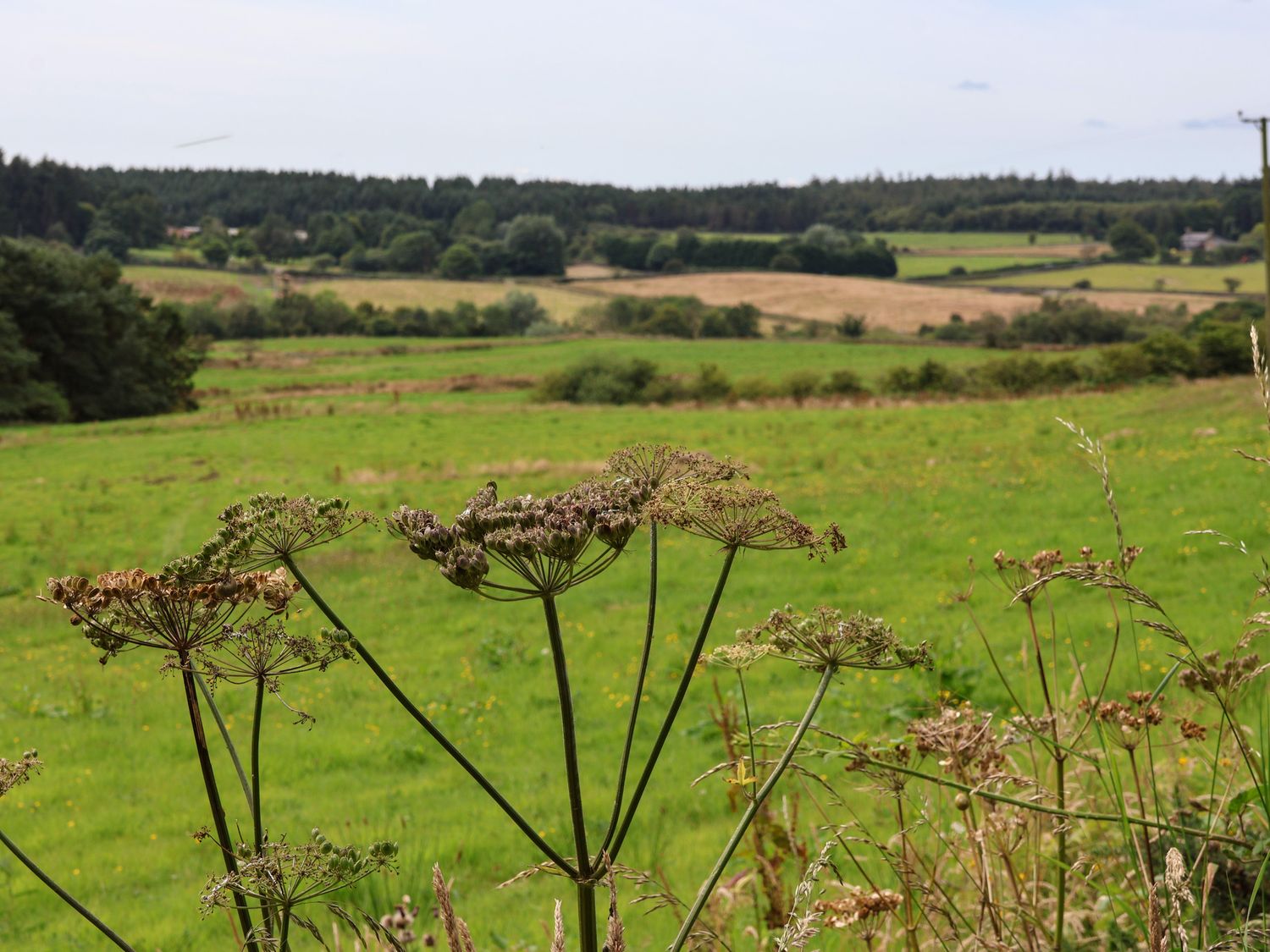 Granary Cottage, North York Moors And Coast