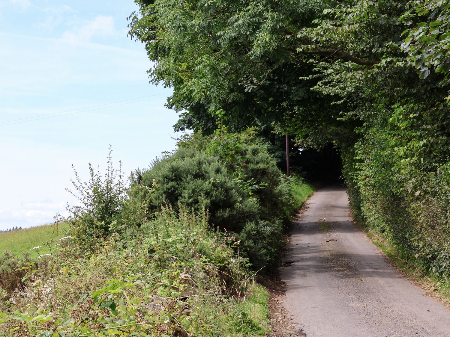 Granary Cottage, North York Moors And Coast