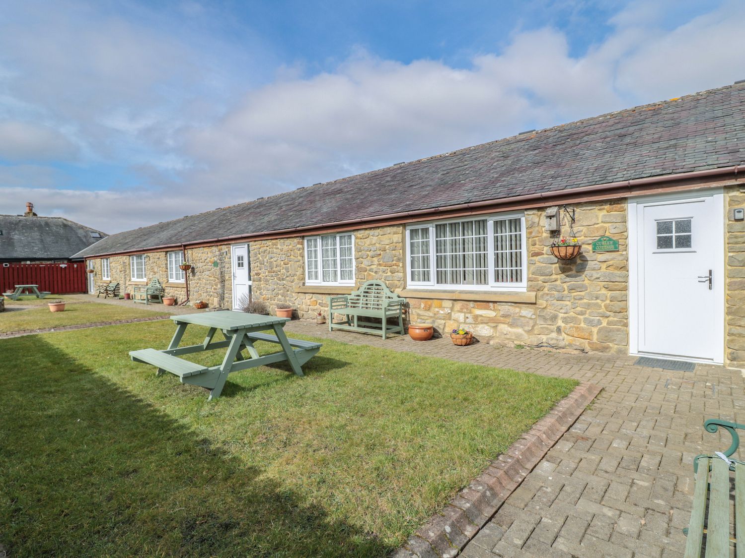 Curlew,  Northumbria