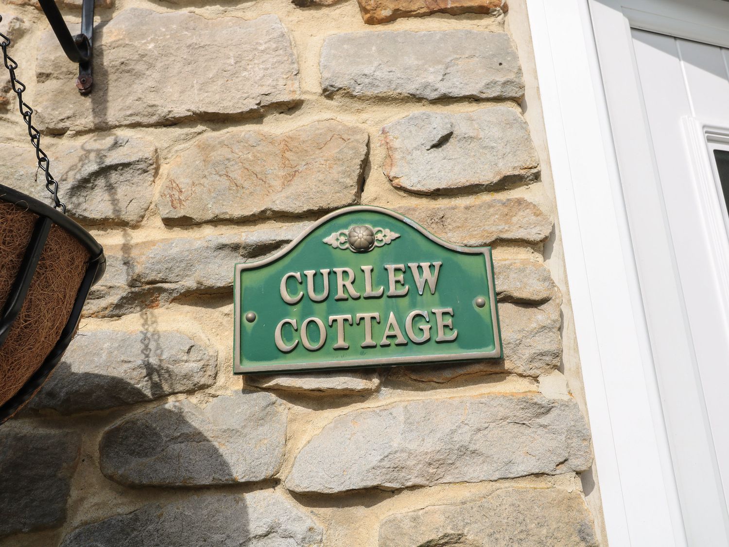 Curlew,  Northumbria