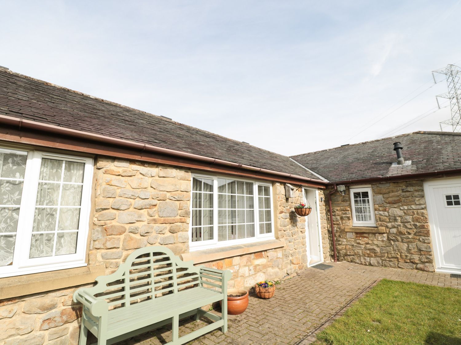 Curlew,  Northumbria