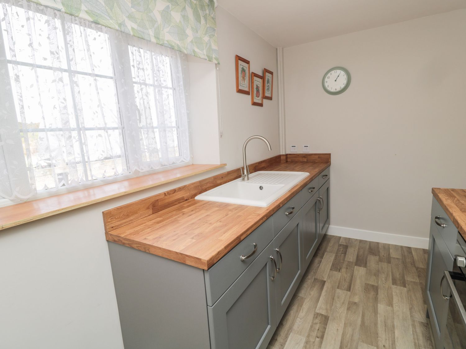 Curlew,  Northumbria