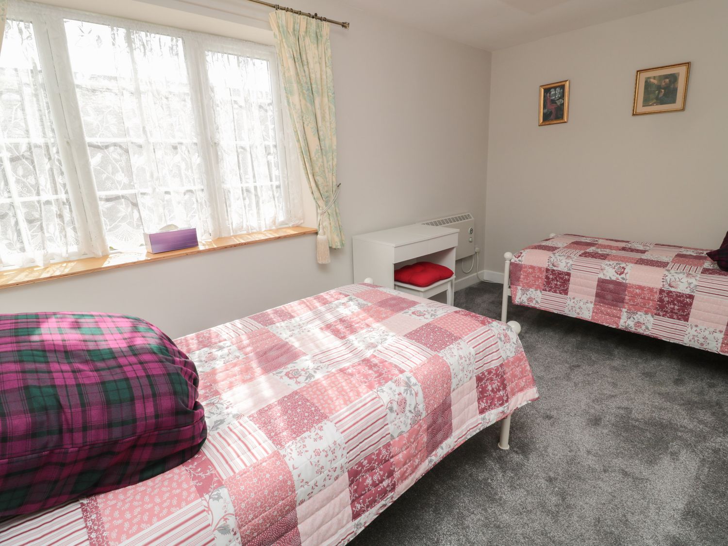 Curlew,  Northumbria