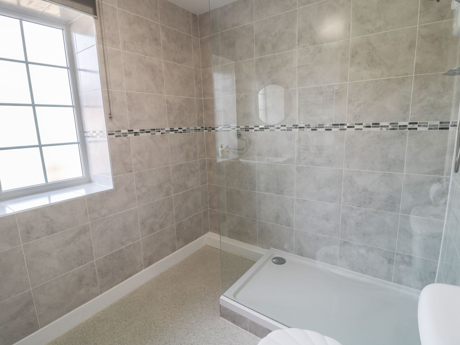 Curlew,  Northumbria