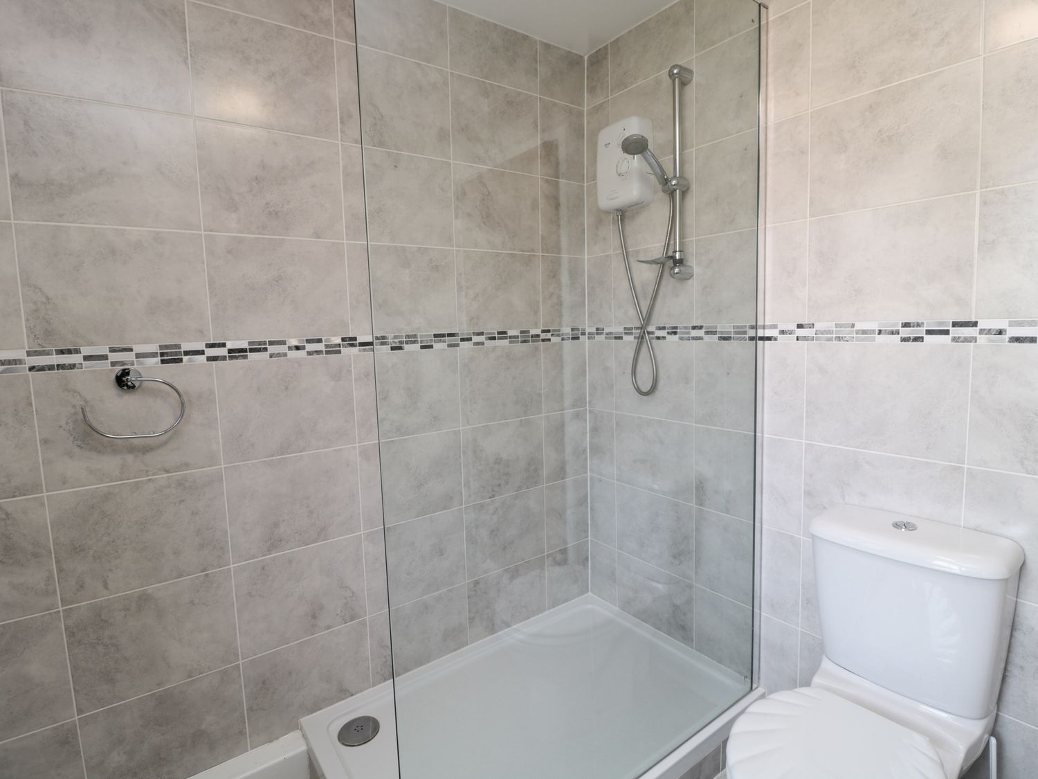 Curlew,  Northumbria