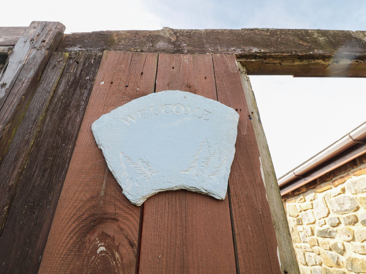 Curlew,  Northumbria