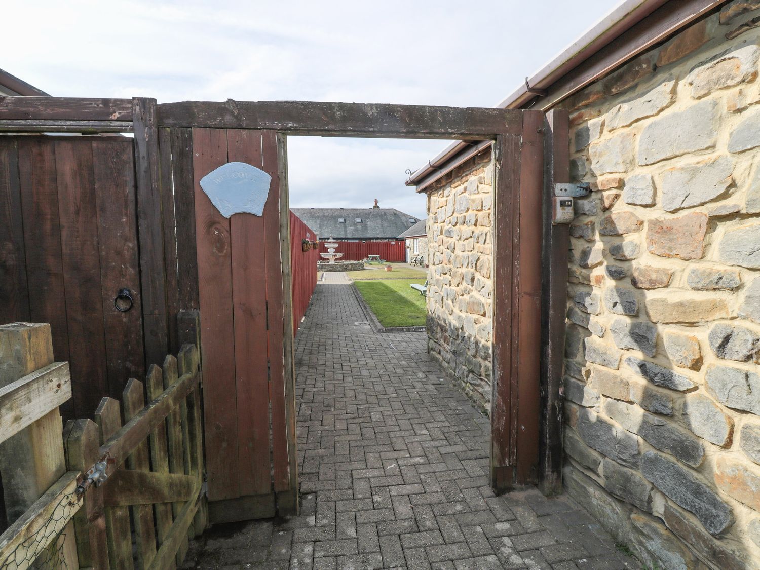 Curlew,  Northumbria