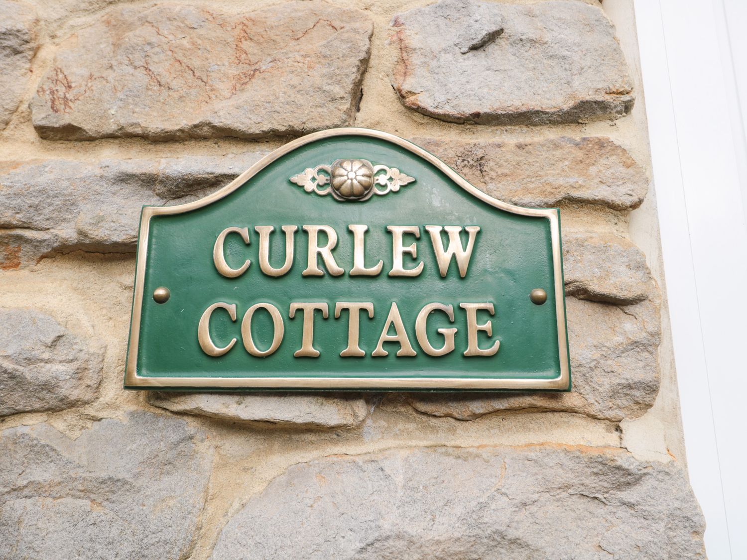 Curlew,  Northumbria