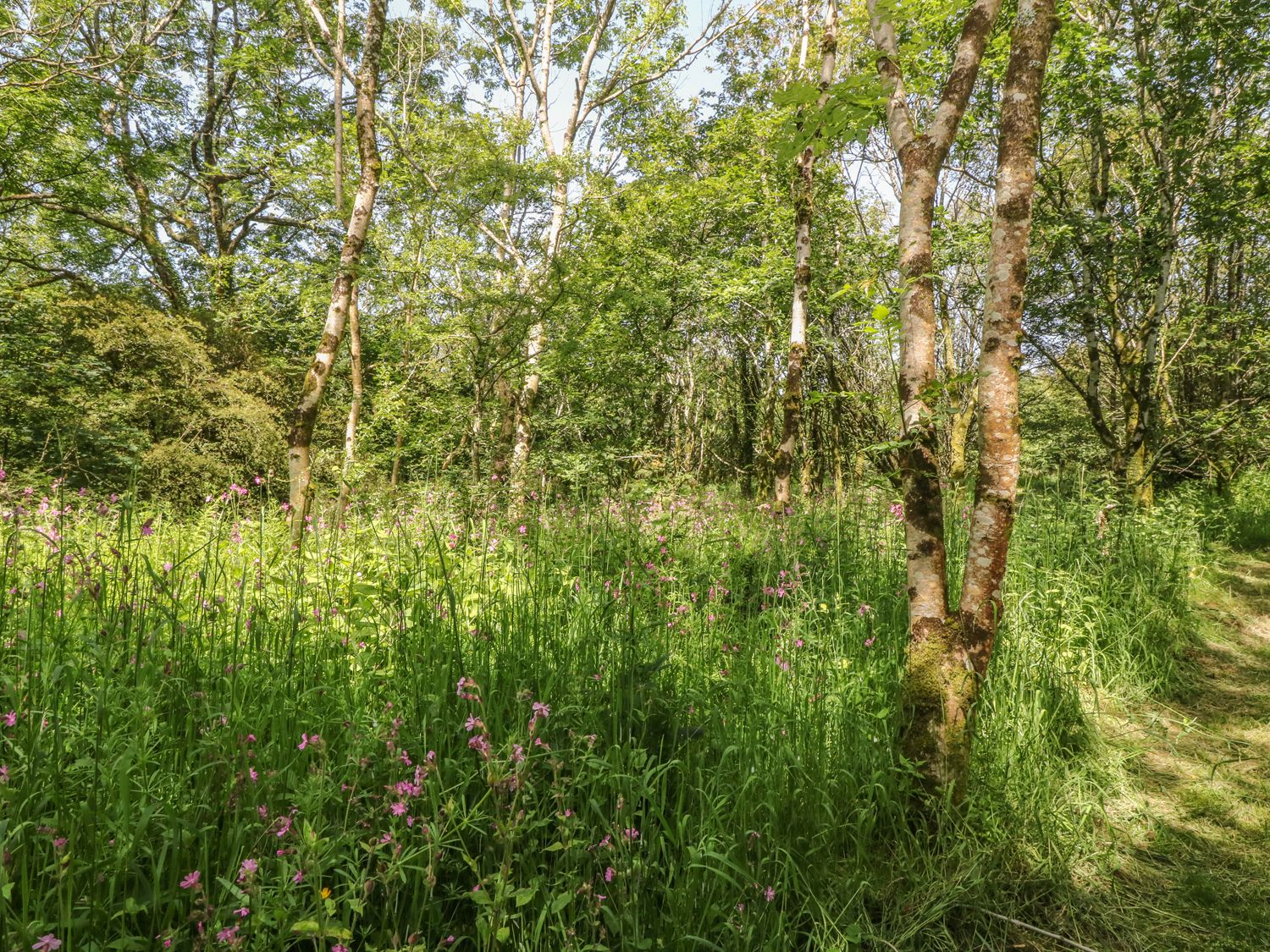 Cefn Coch Isaf, Wales