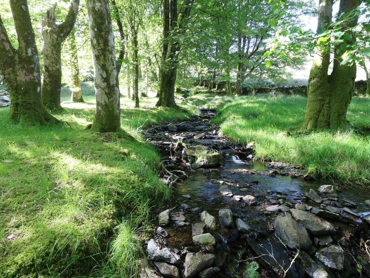 Cefn Coch Isaf, Wales