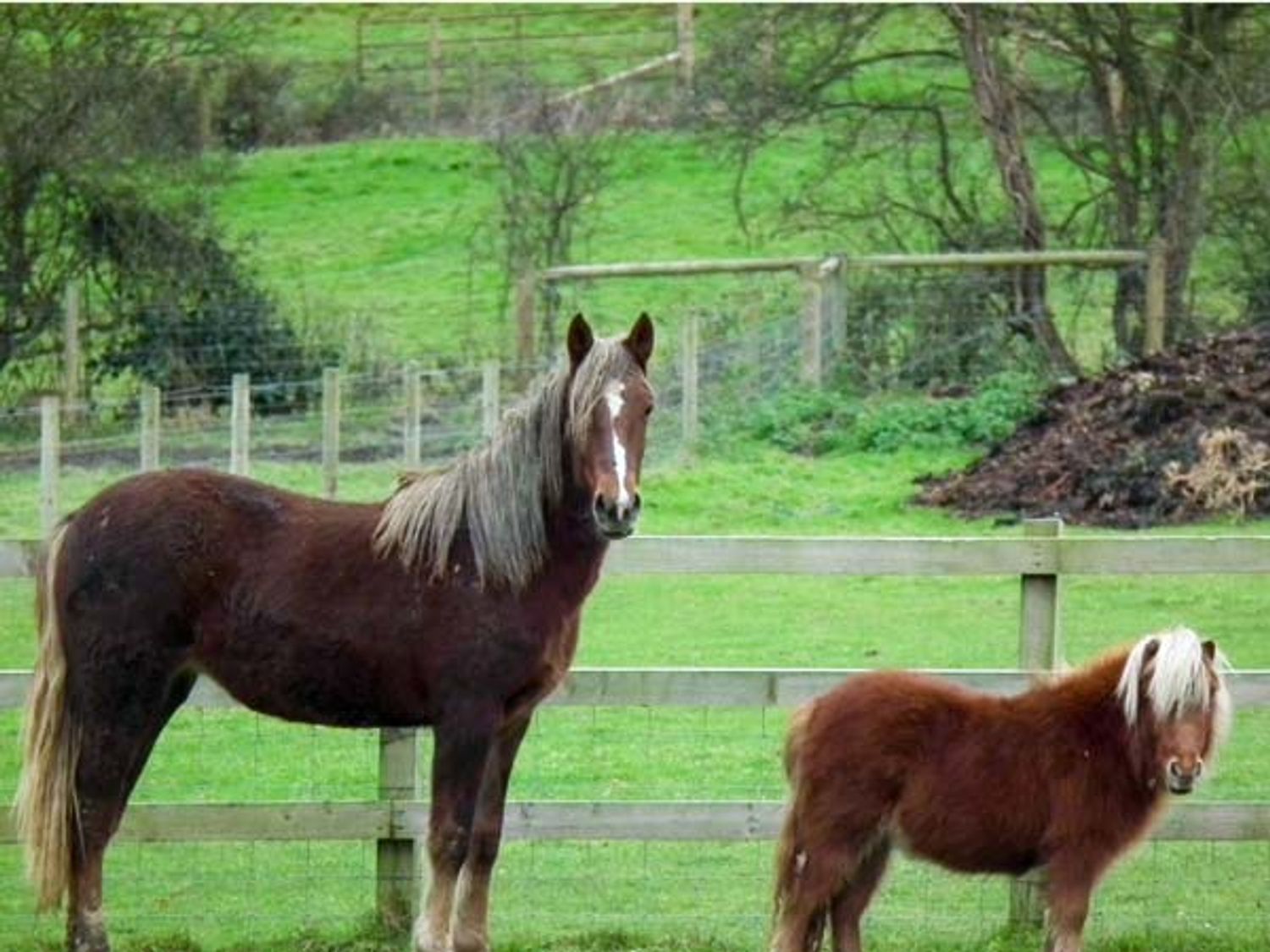 2 The Stables, Isle of Wight
