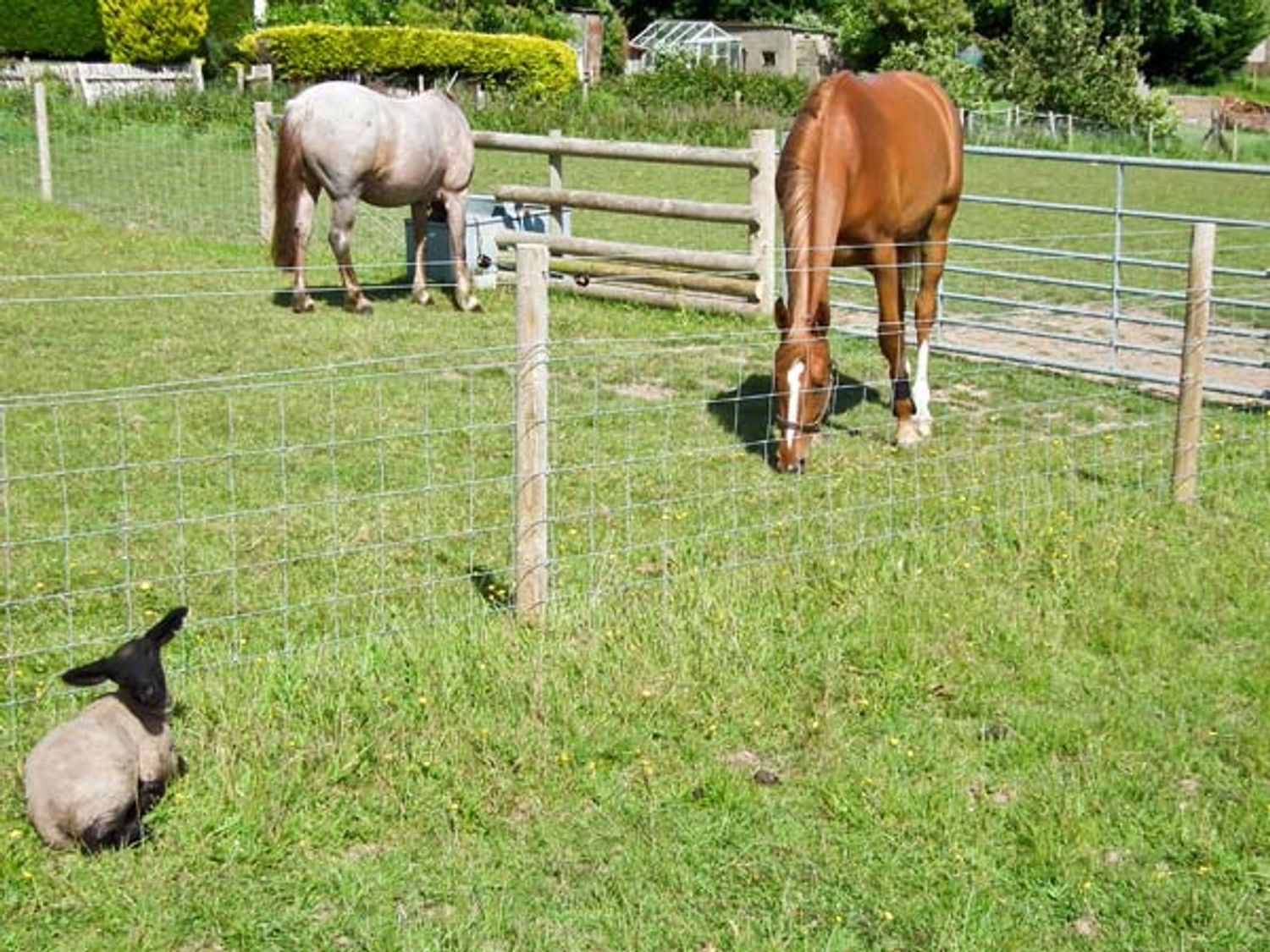 2 The Stables, Isle of Wight