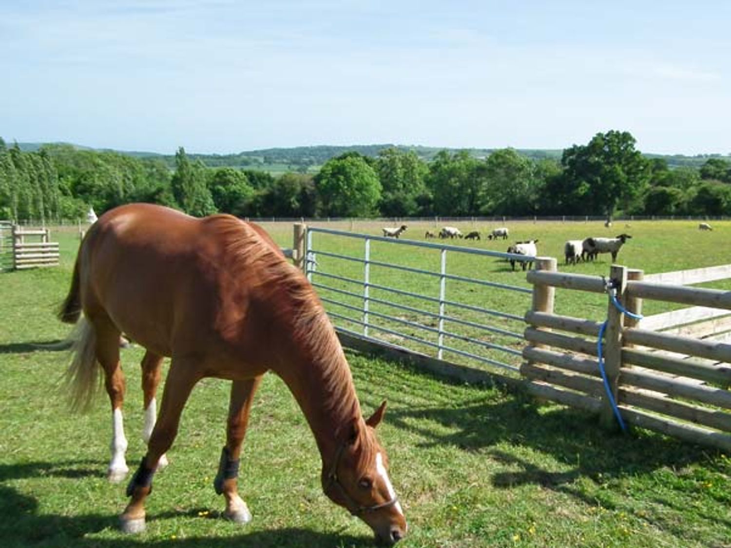 2 The Stables, Isle of Wight