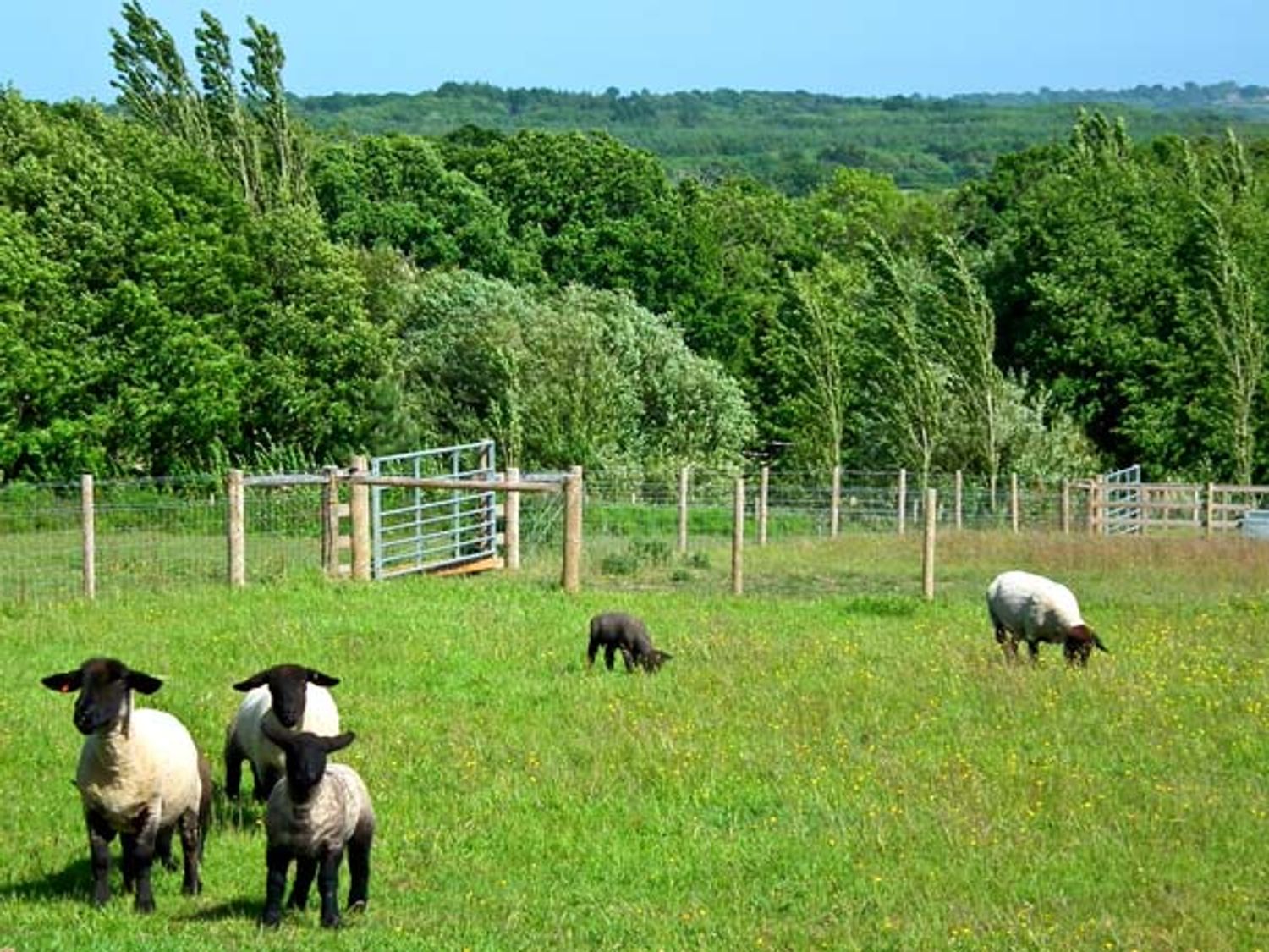 2 The Stables, Isle of Wight