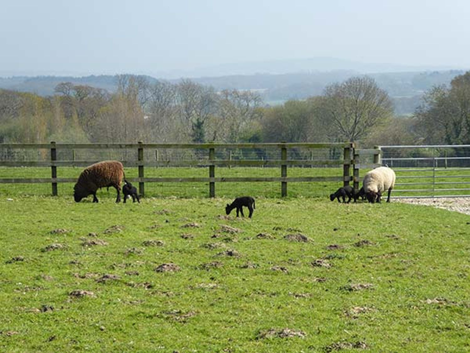 2 The Stables, Isle of Wight