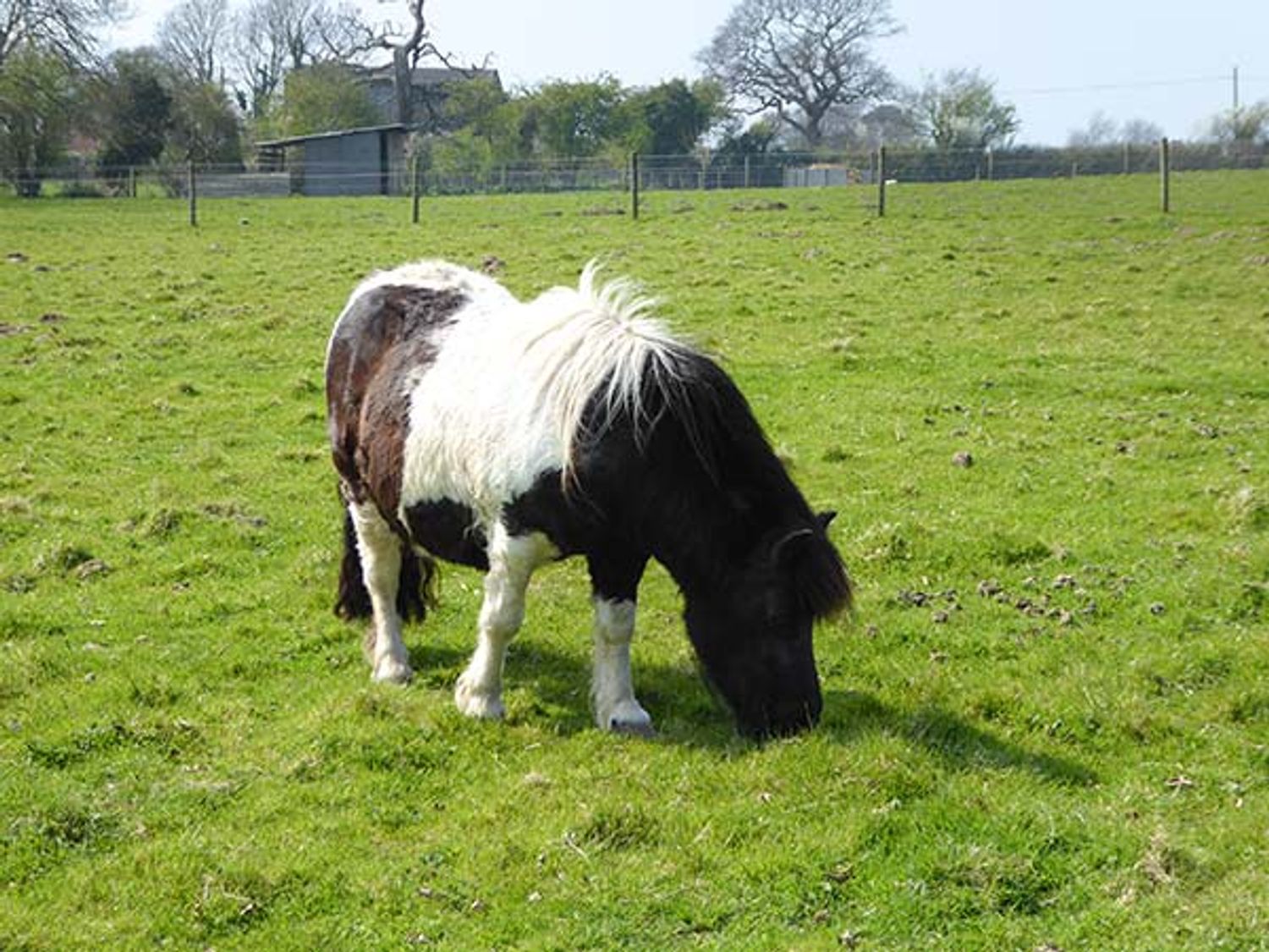 2 The Stables, Isle of Wight