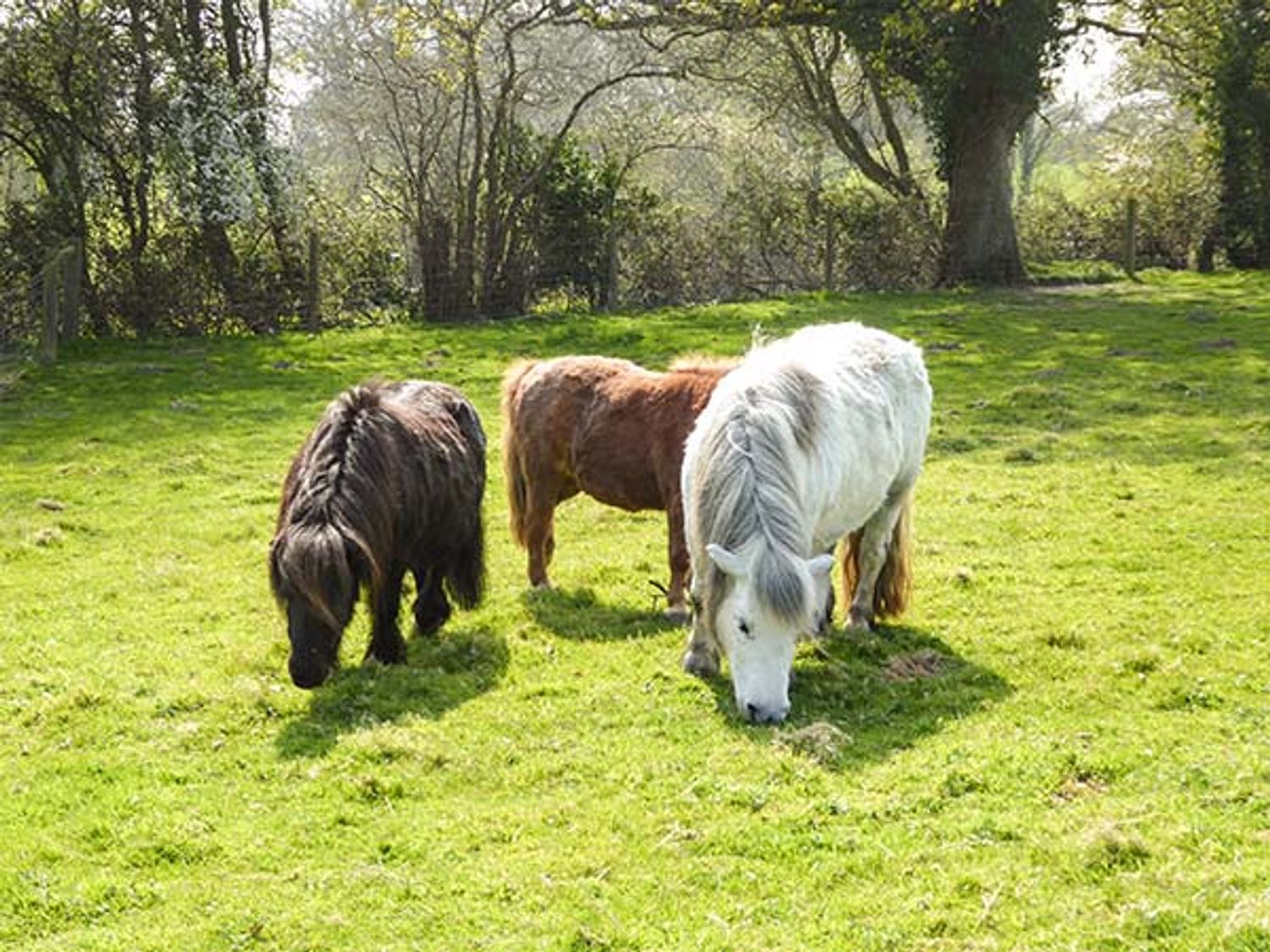 2 The Stables, Isle of Wight