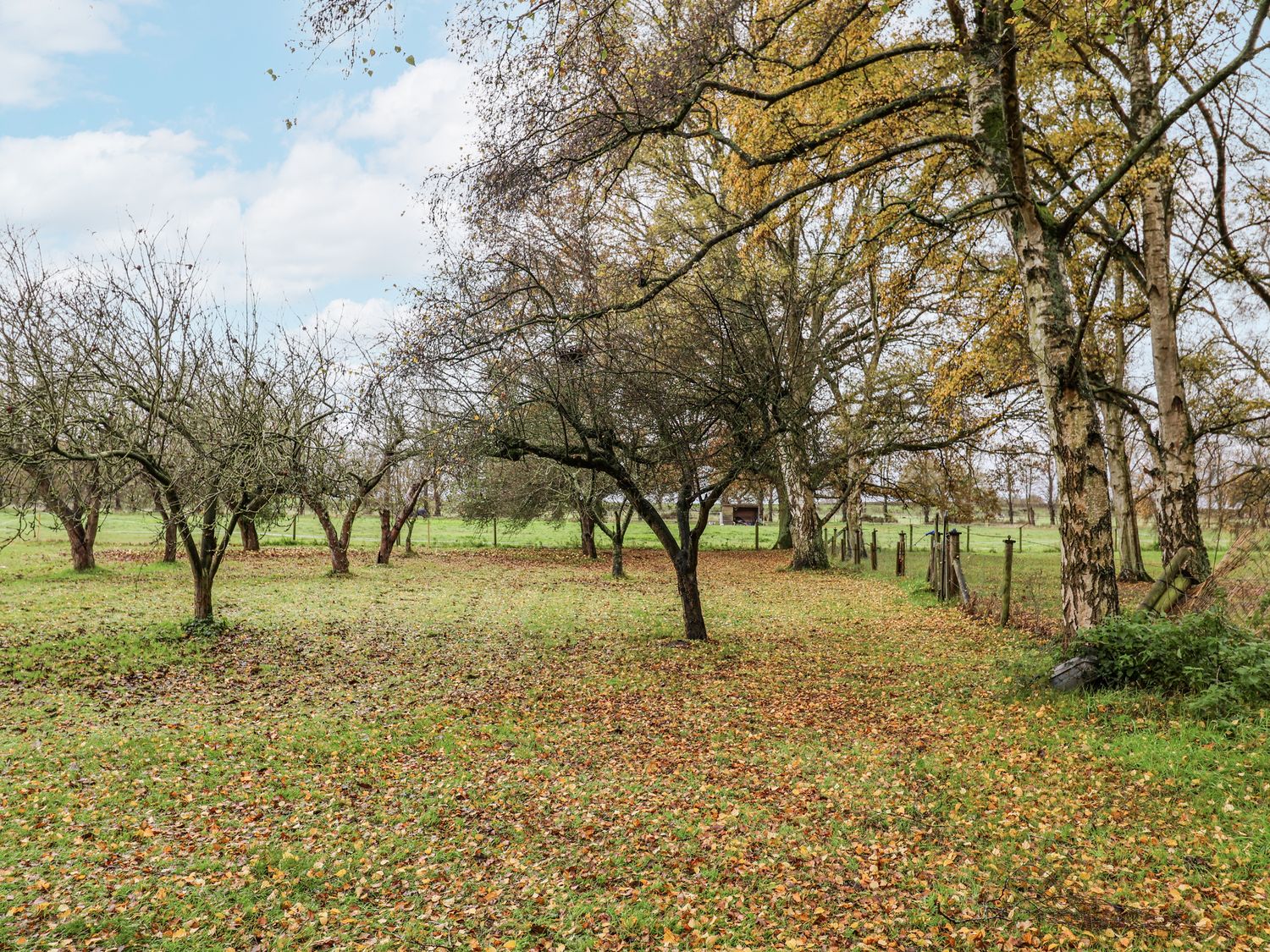 The Lodge, East Anglia