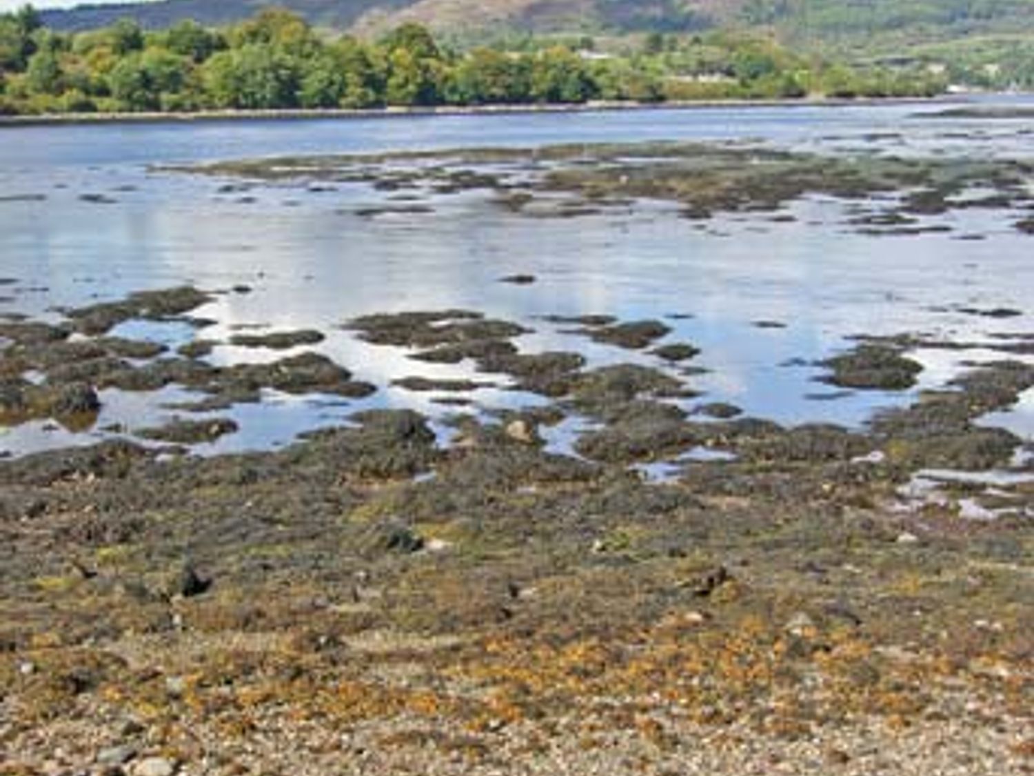 Dundonald Landing, Scotland