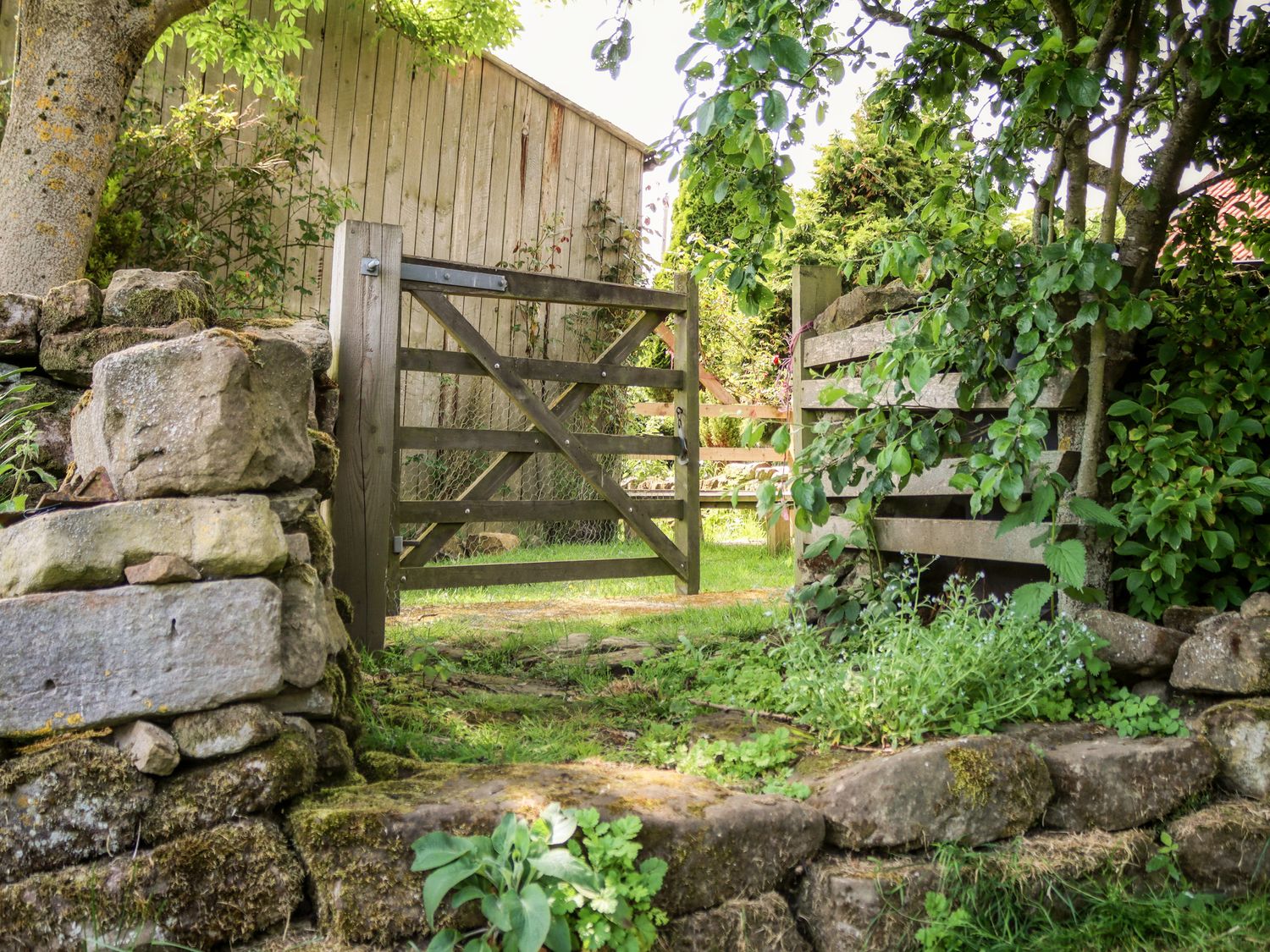 Daffodil Cottage, North York Moors And Coast