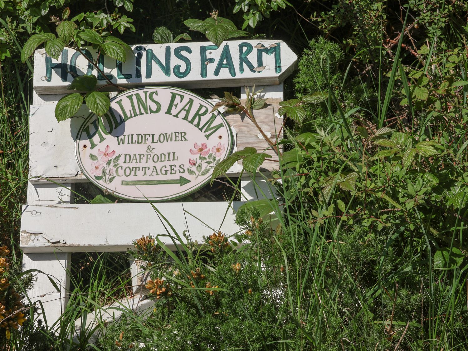 Daffodil Cottage, North York Moors And Coast