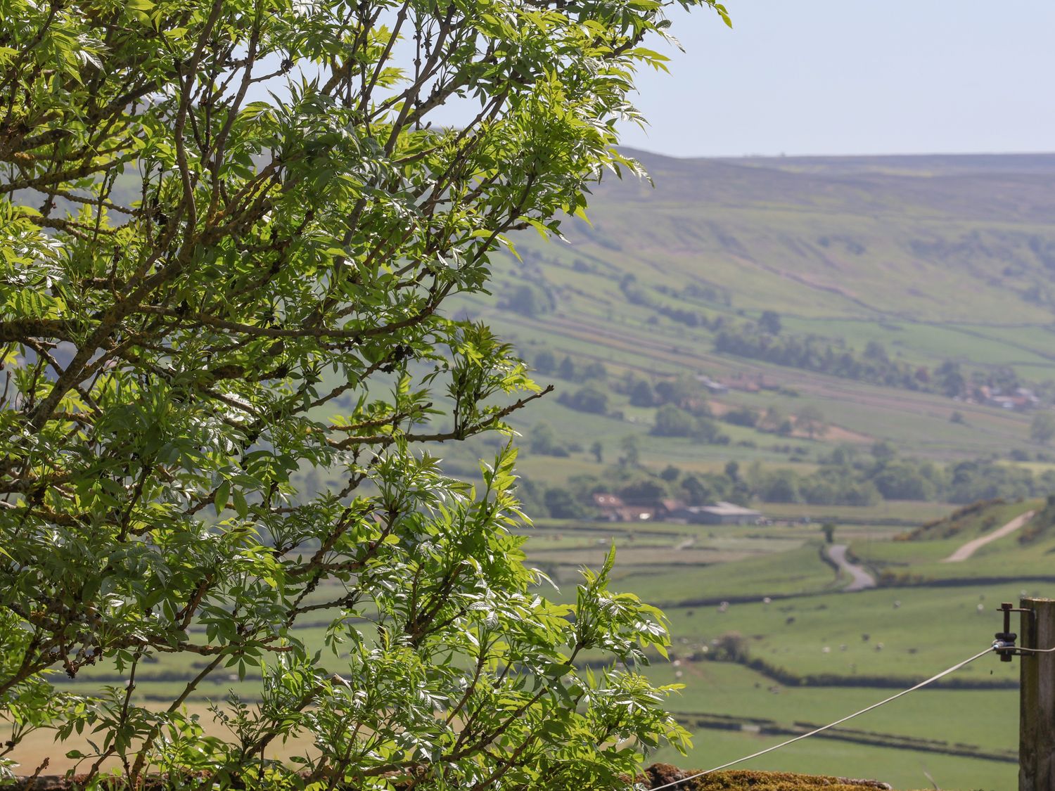 Daffodil Cottage, North York Moors And Coast