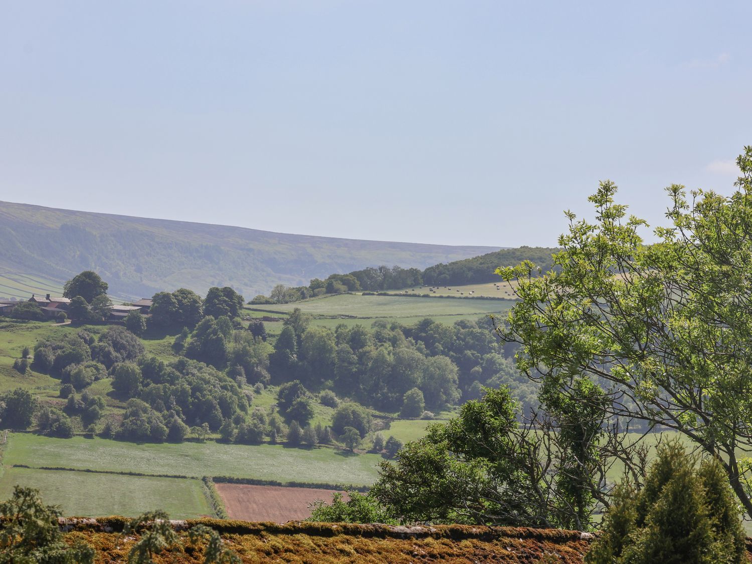 Daffodil Cottage, North York Moors And Coast