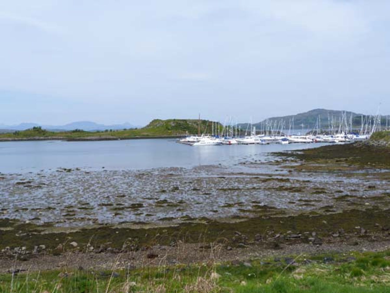 Darach, Scotland