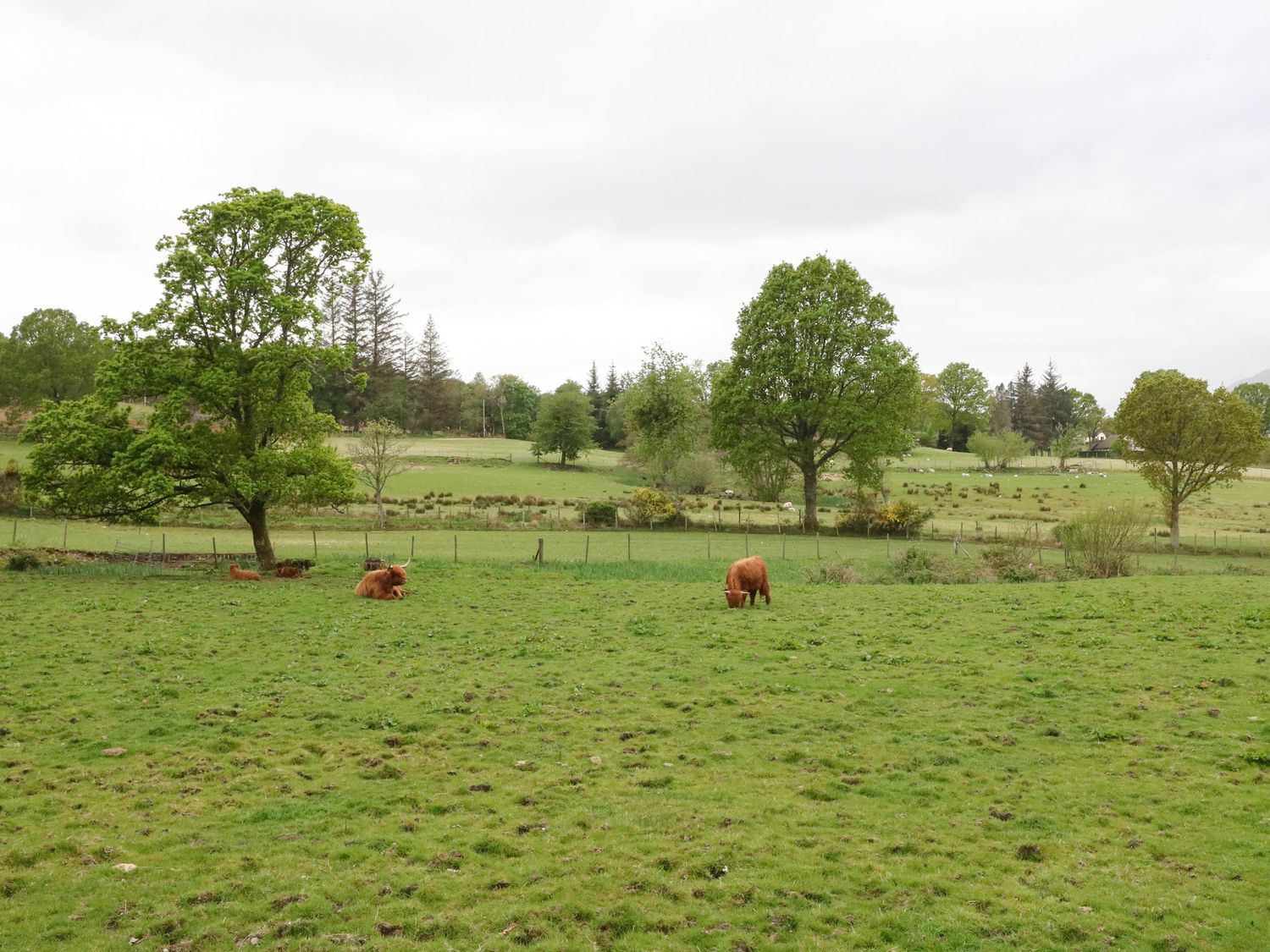 The Four Oaks Chalet, Scotland