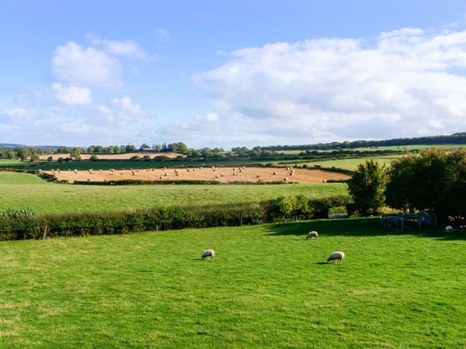 Hafan Haydn, Wales