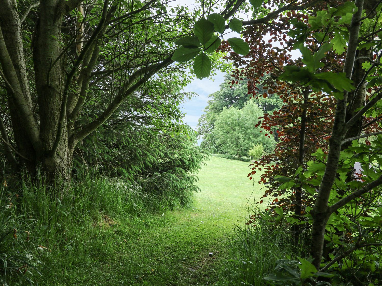 Fell Cottage, The Lake District And Cumbria