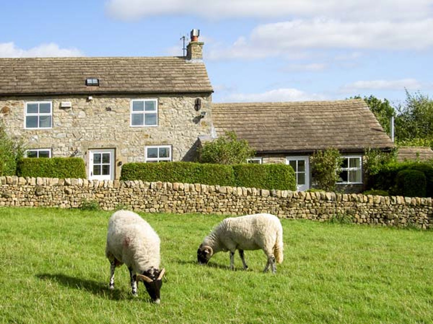 Curlew Cottage, County Durham