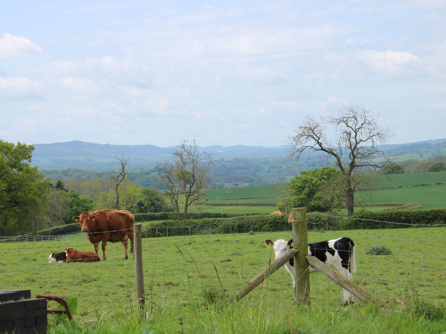 Shepherd's Retreat, Shropshire