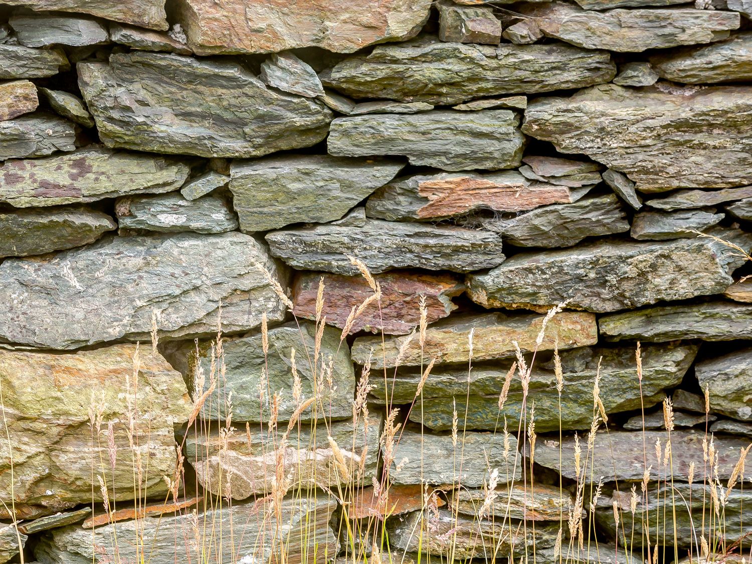 Ash, Wales