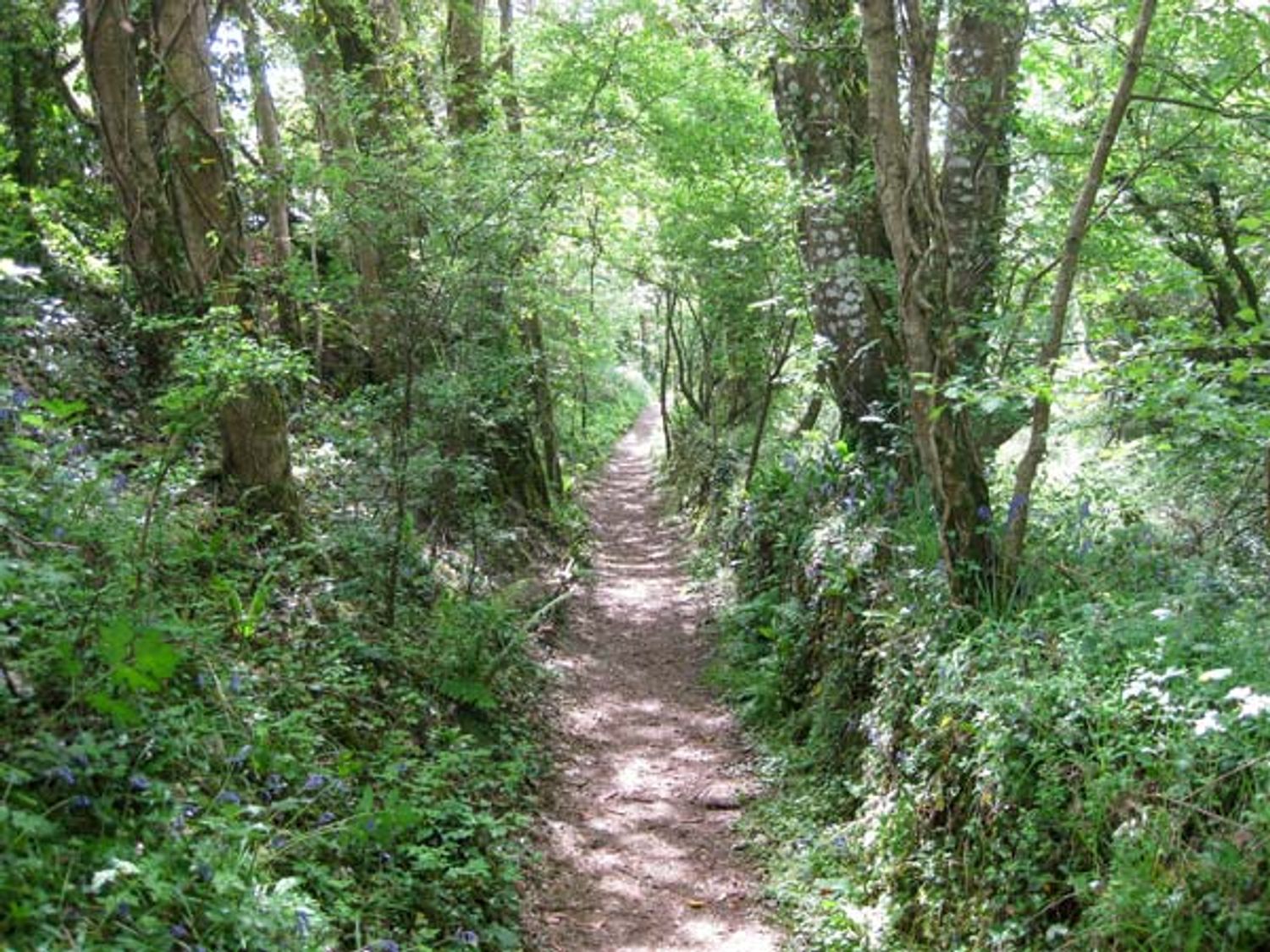 The Station Flat, Cornwall