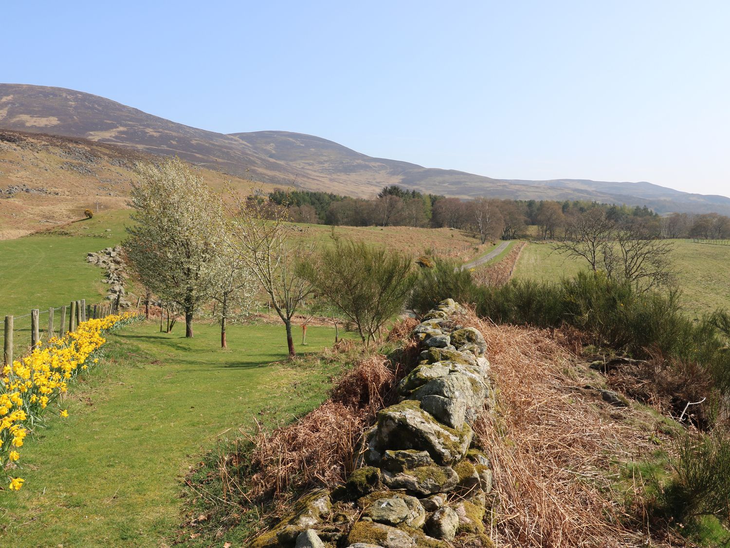 The Bothy, Edzell