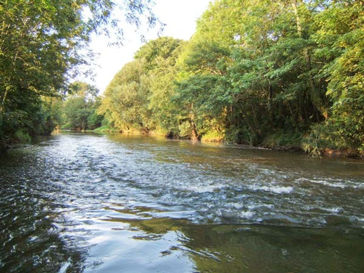 Primrose Cottage, Devon