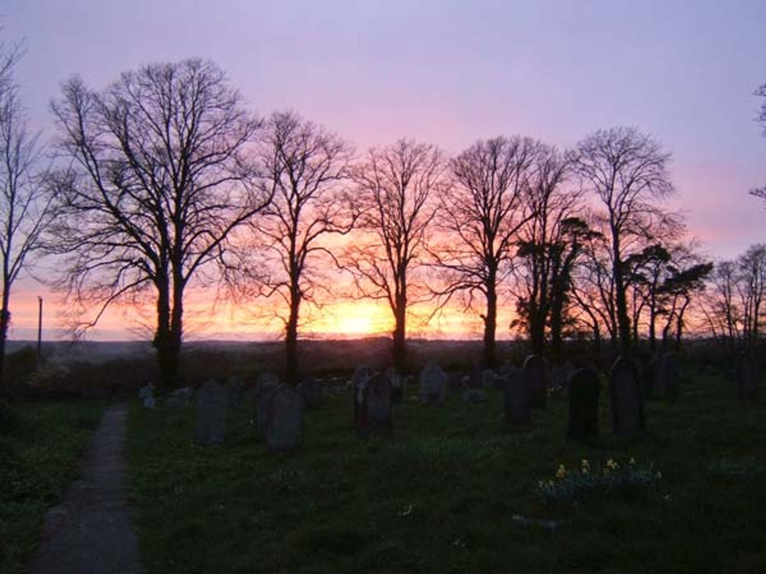 Primrose Cottage, Devon