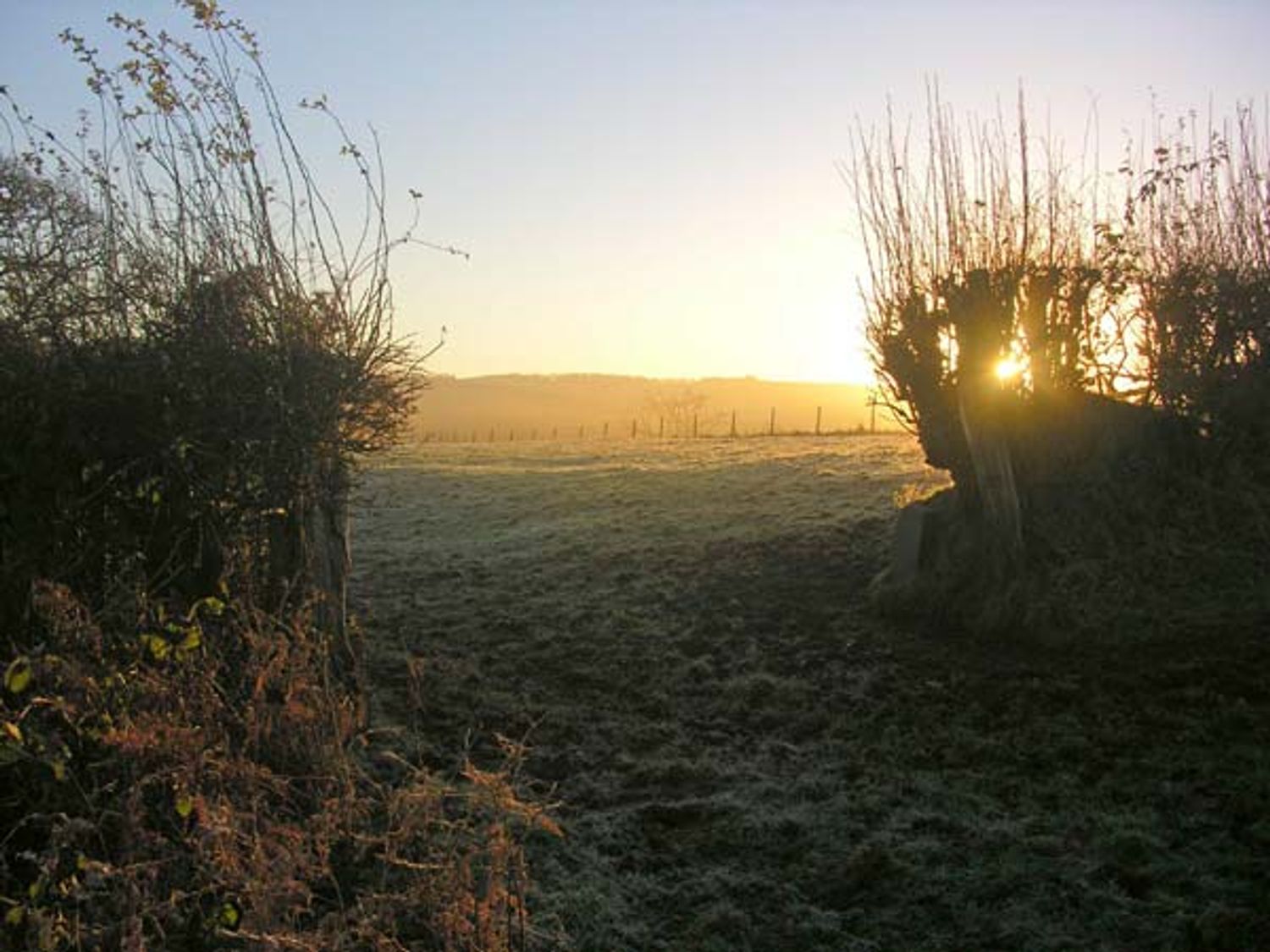 Primrose Cottage, Devon
