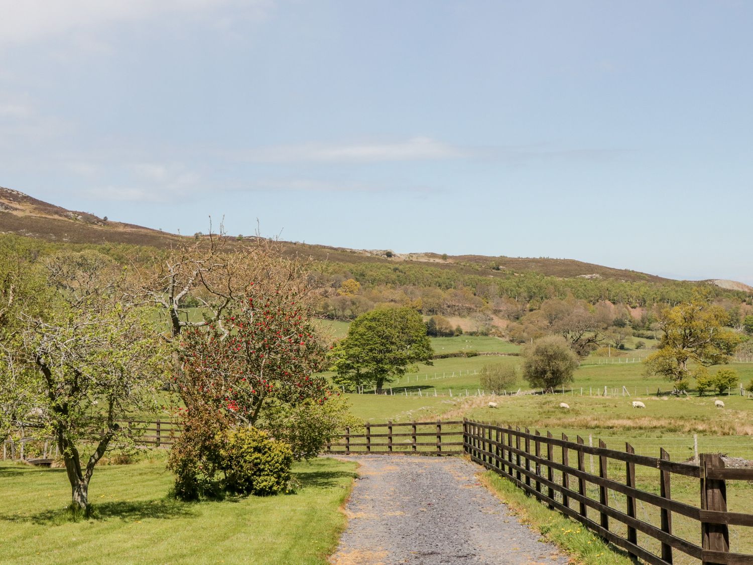 Oakwood Stables, North Wales