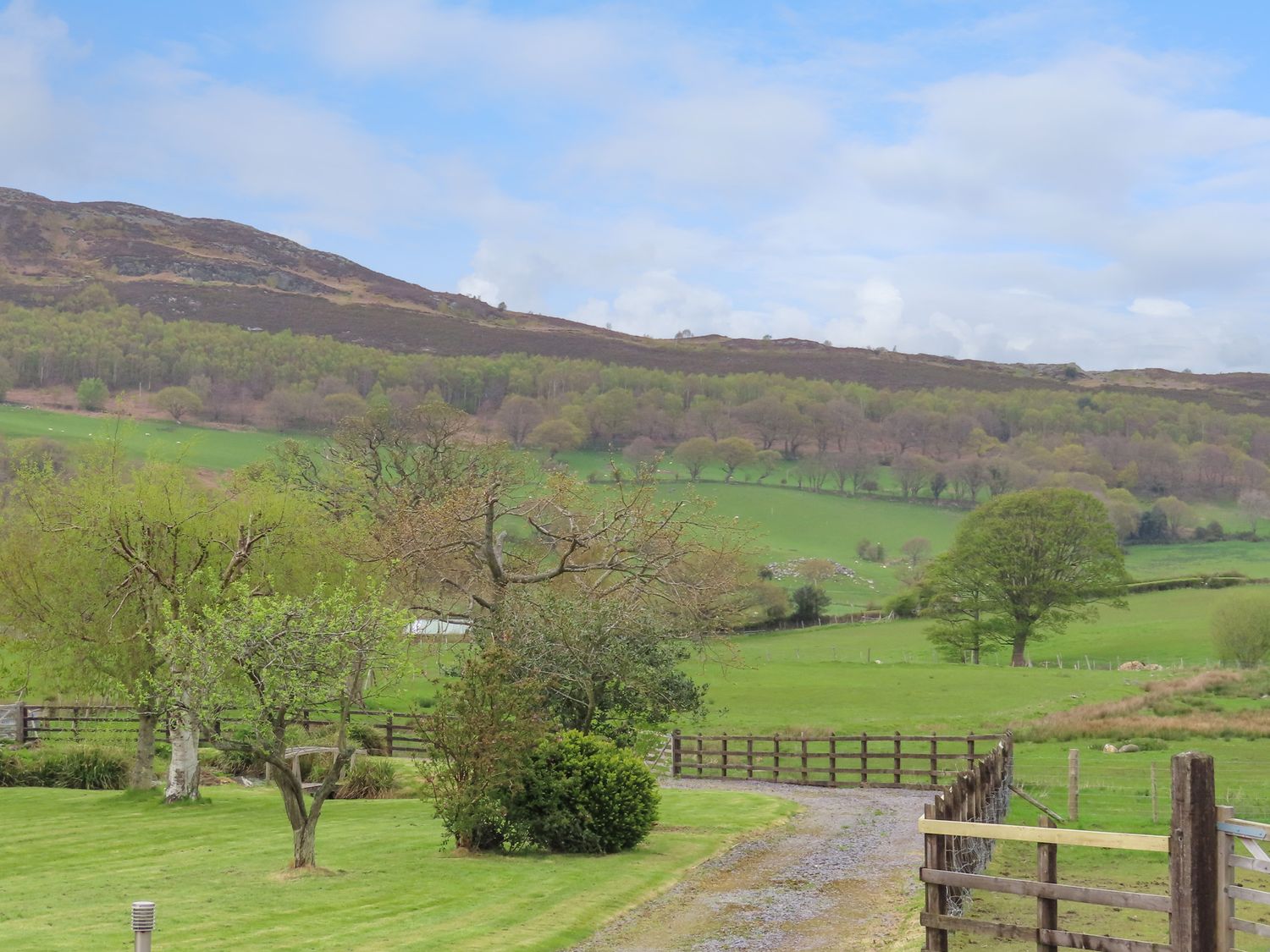 Oakwood Stables, North Wales