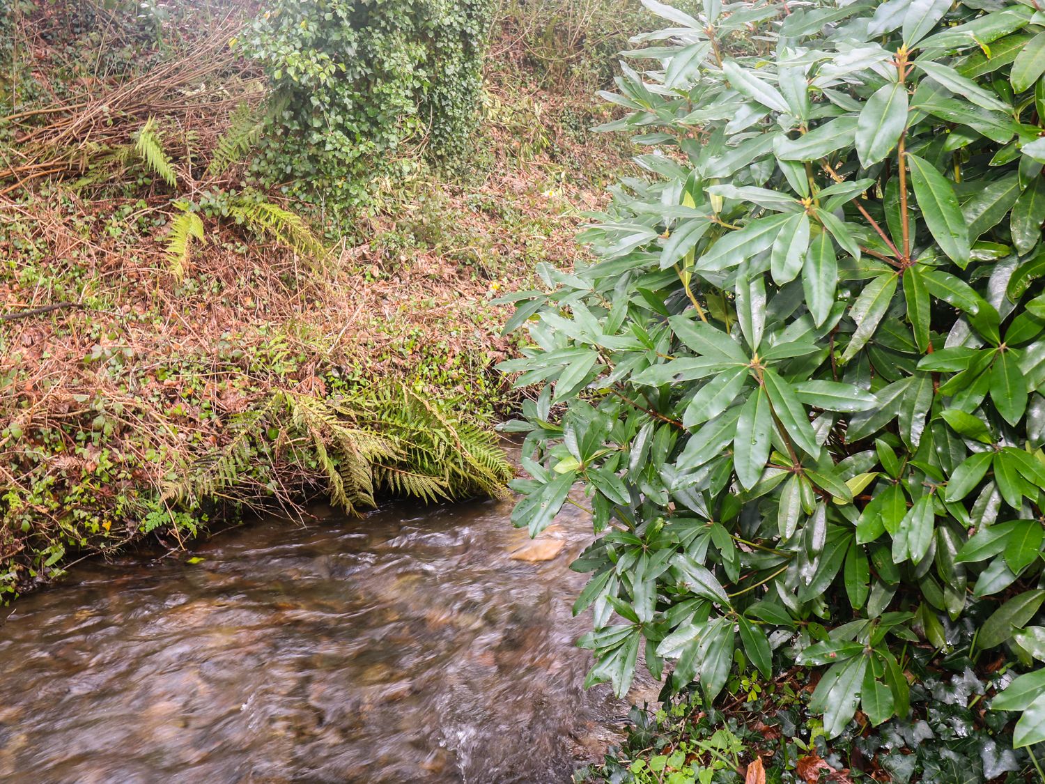 3 Rosecraddoc Lodge, Cornwall