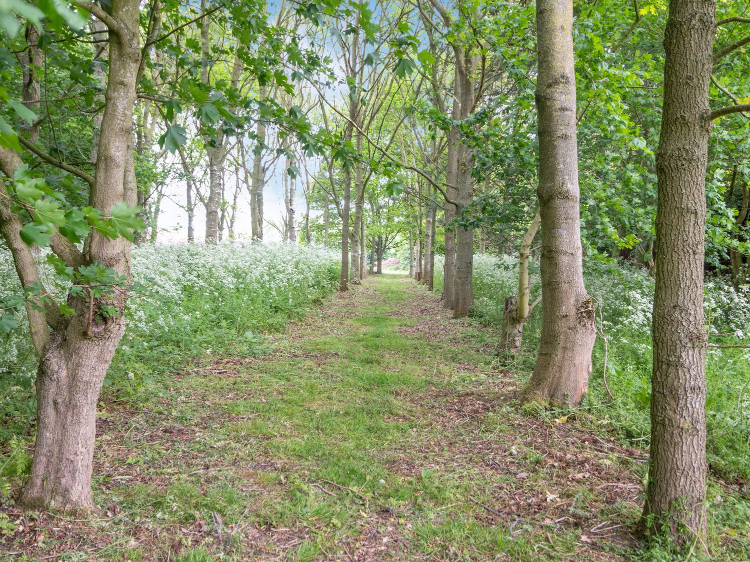 Little Flint, East Anglia