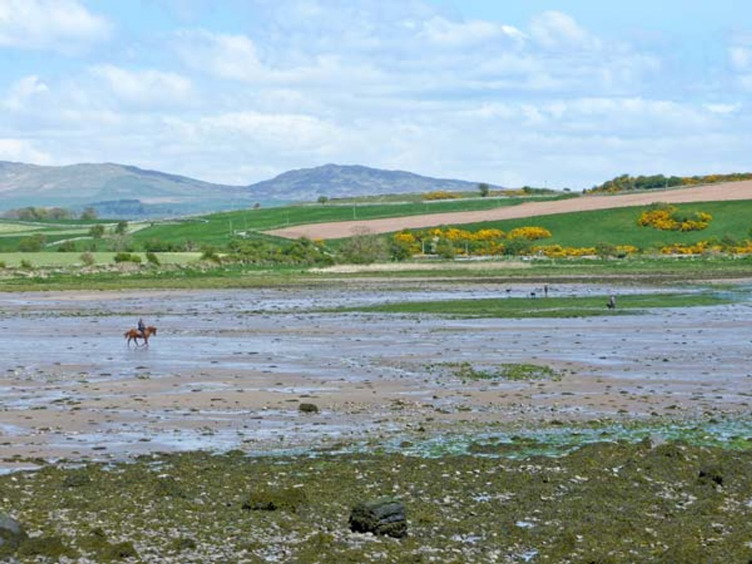 Ducket Cottage, Dumfries & Galloway