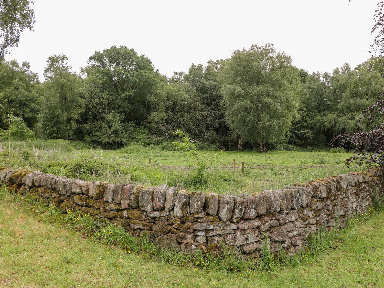 Horse Shoe Cottage, Heart of England