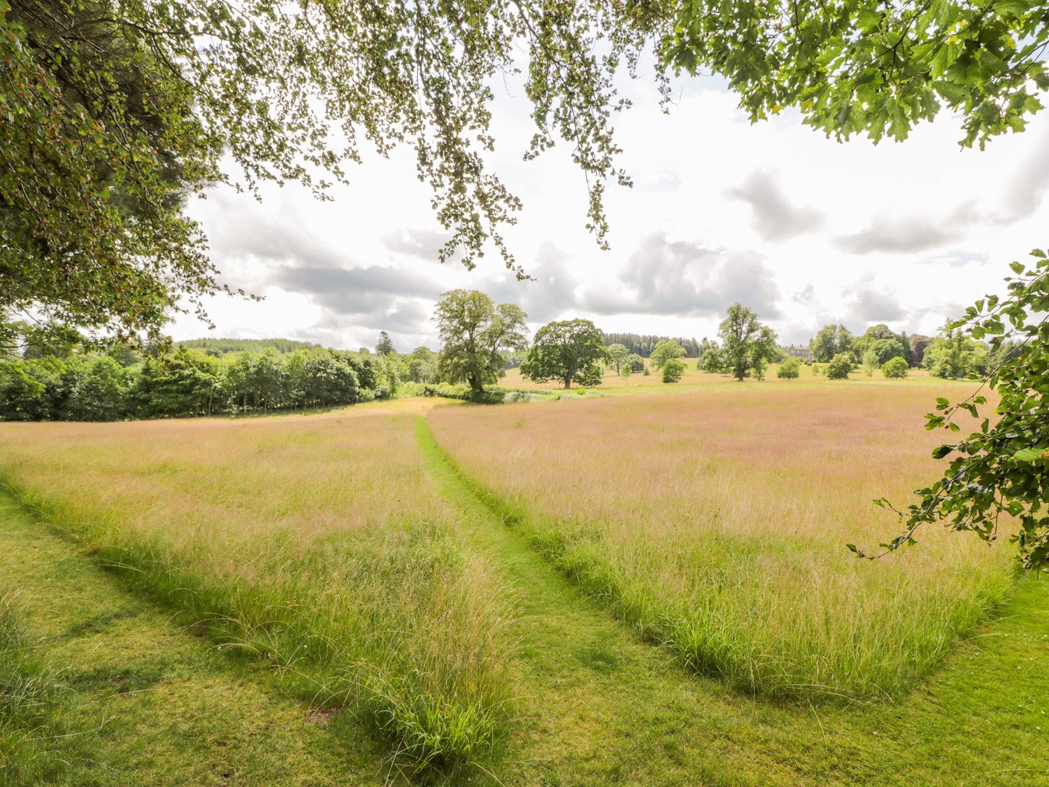 The Spinney Lodge, Scottish Borders
