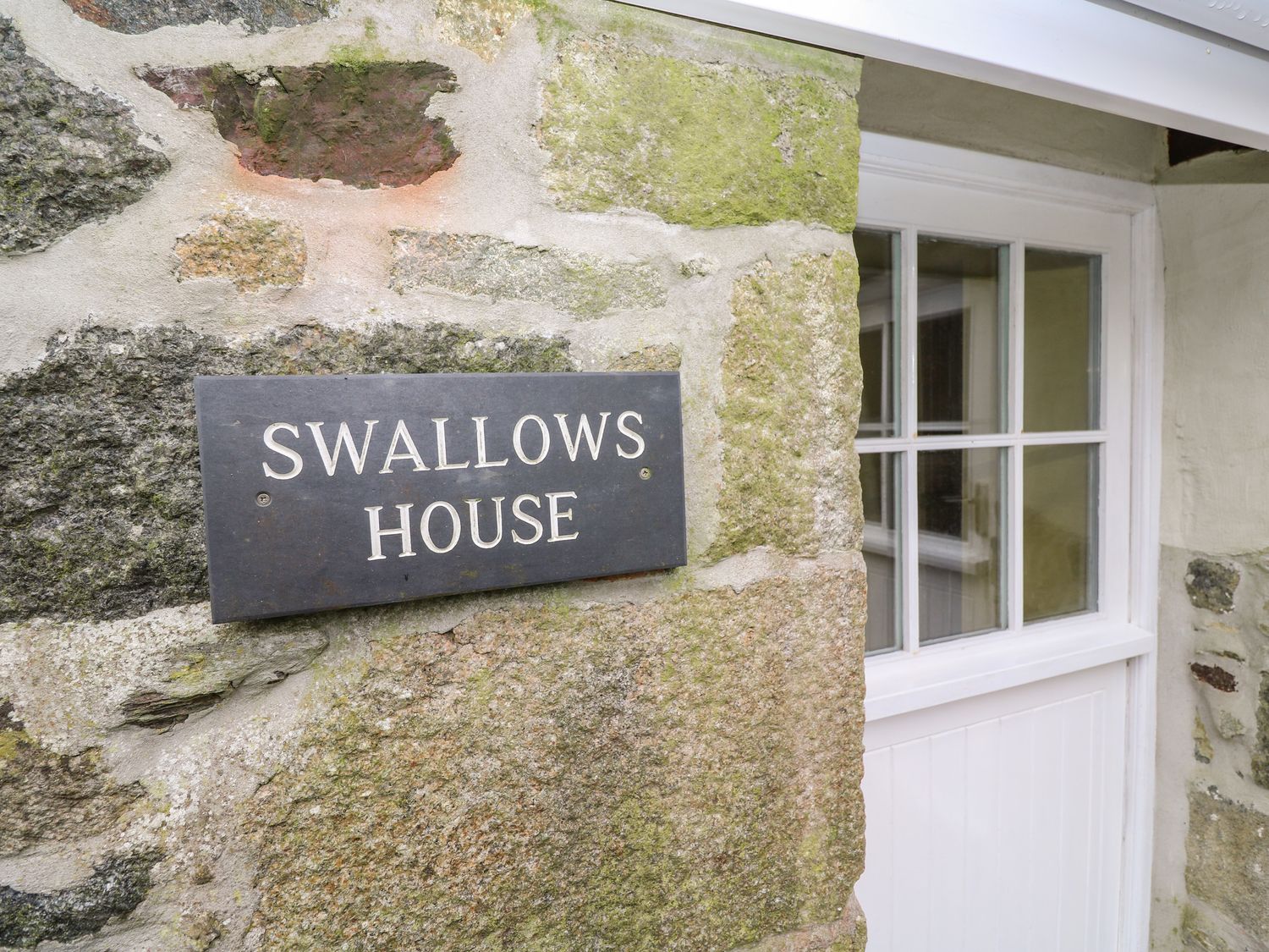 Swallows, Cornwall