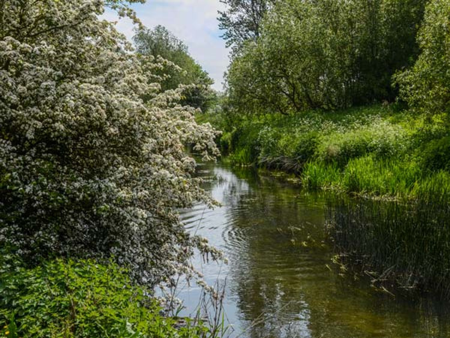 Gatehouse Croft, Heart of England