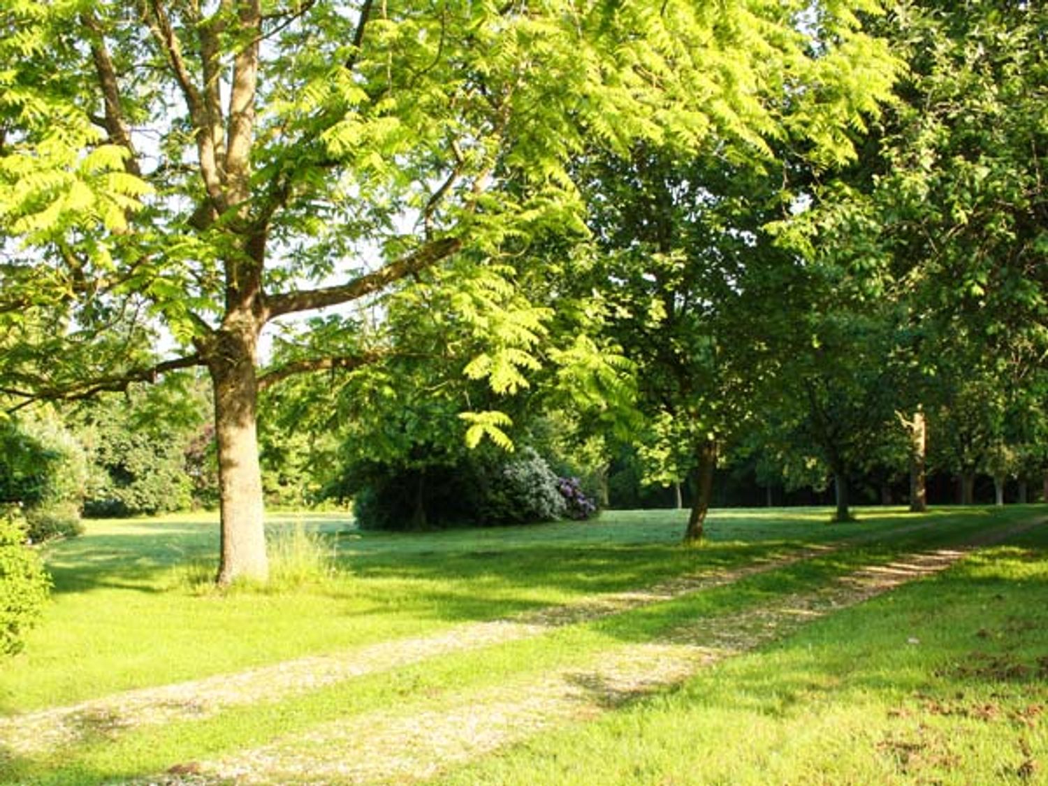 Ashfield Studio, East Anglia