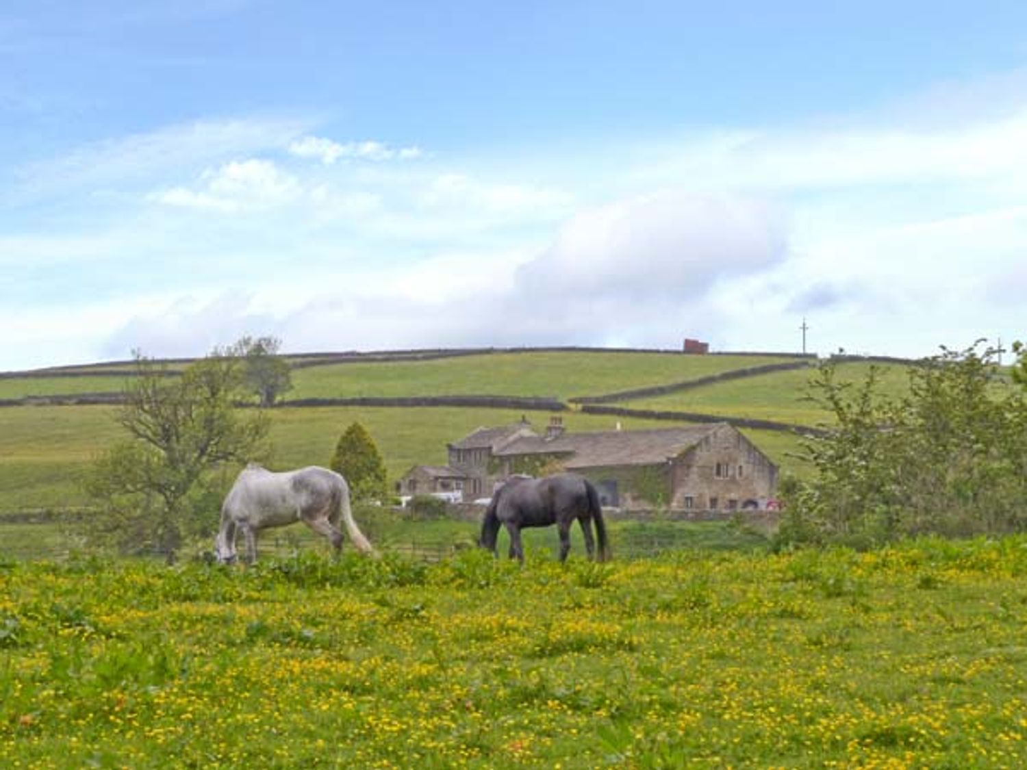 The Stable Cottage, Yorkshire